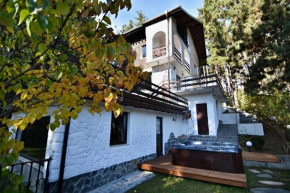 Гостиница Spa Villa Galileev  Велинград